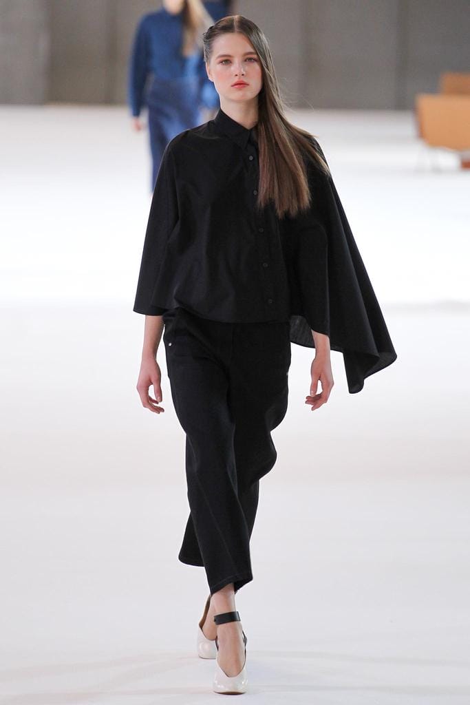 Christophe Lemaire 2015з