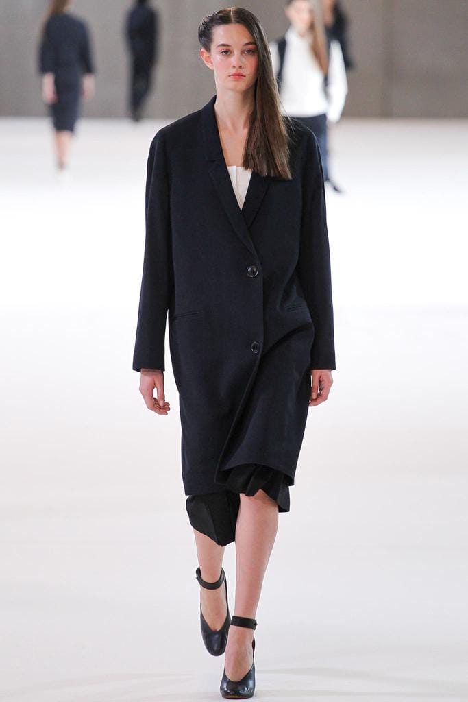 Christophe Lemaire 2015з