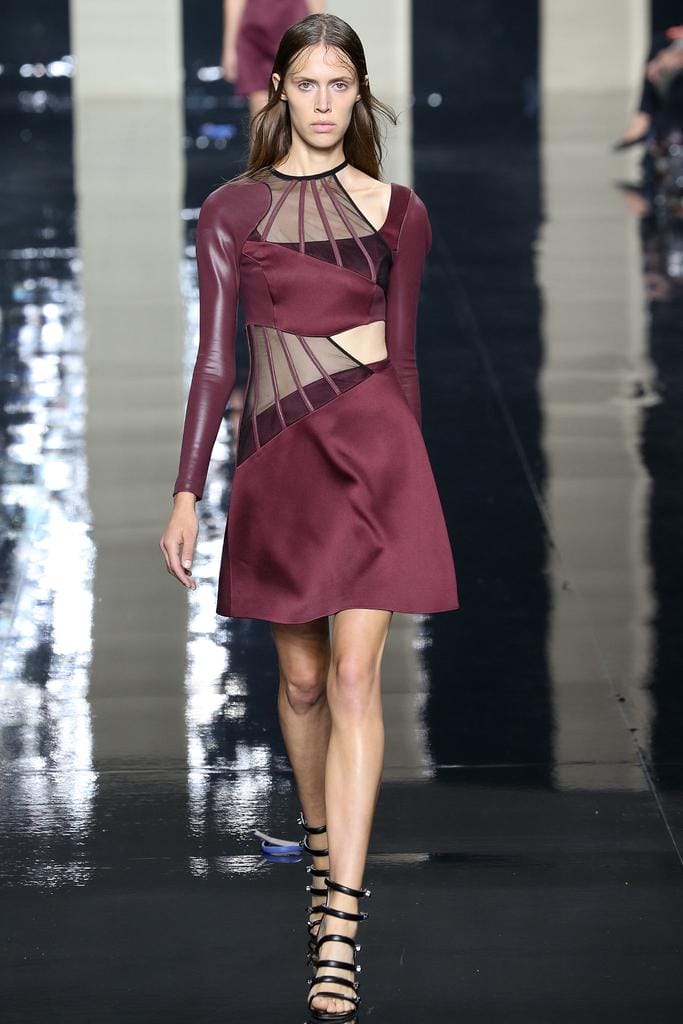 Christopher Kane 2015з