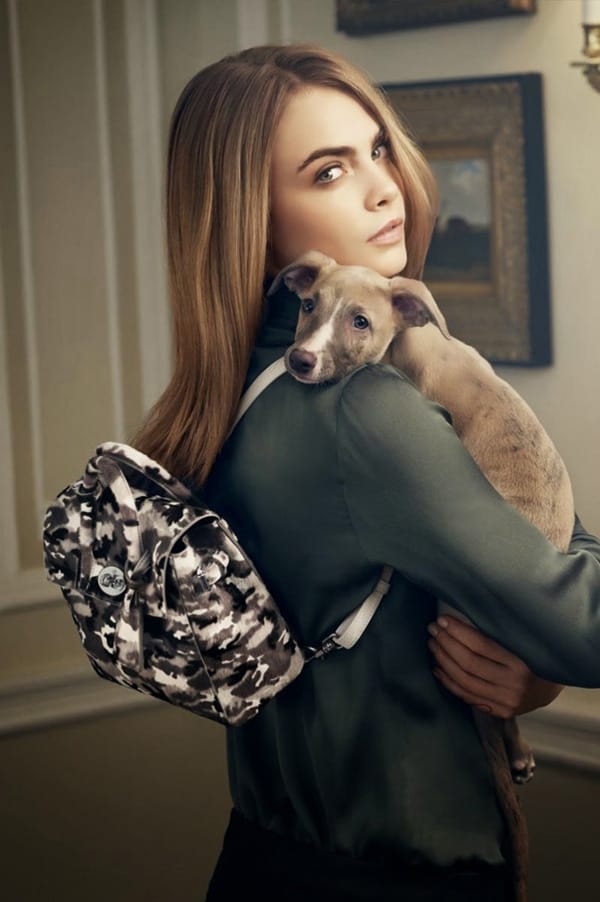 Mulberry Cara DelevingneϵȫӢ