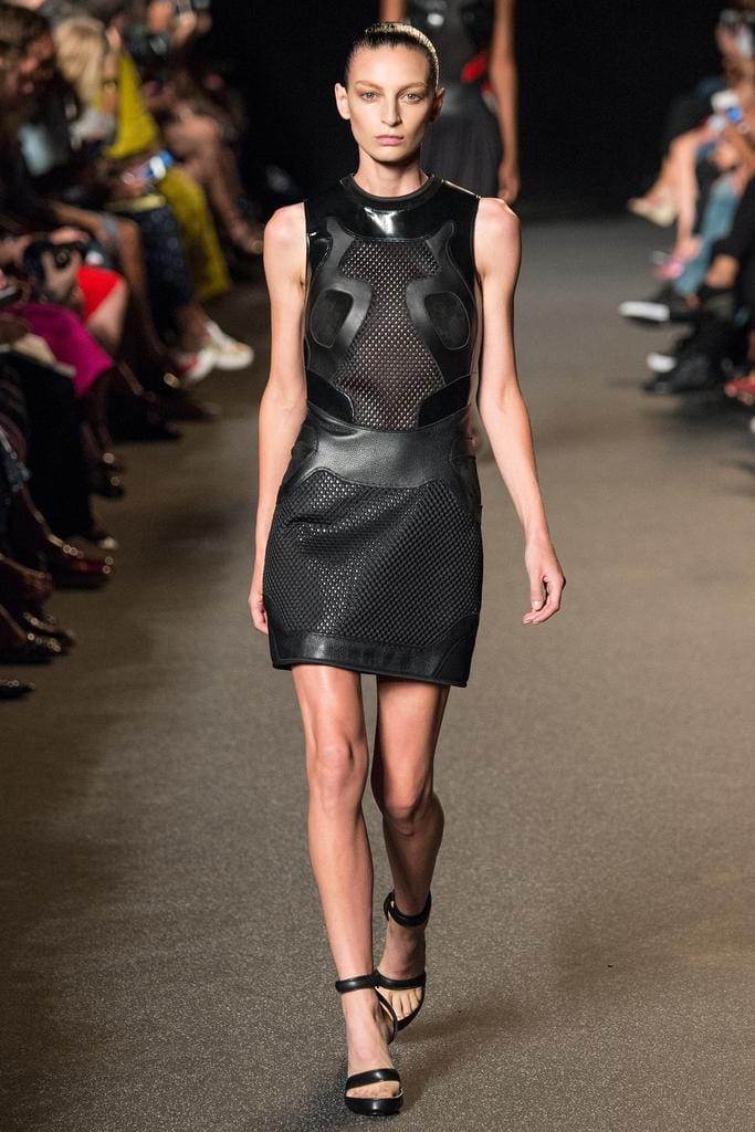 Alexander Wang 2015з