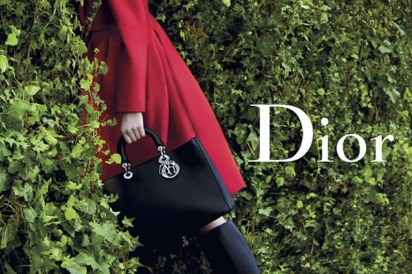 DIOR ع鷲ٶܻ԰