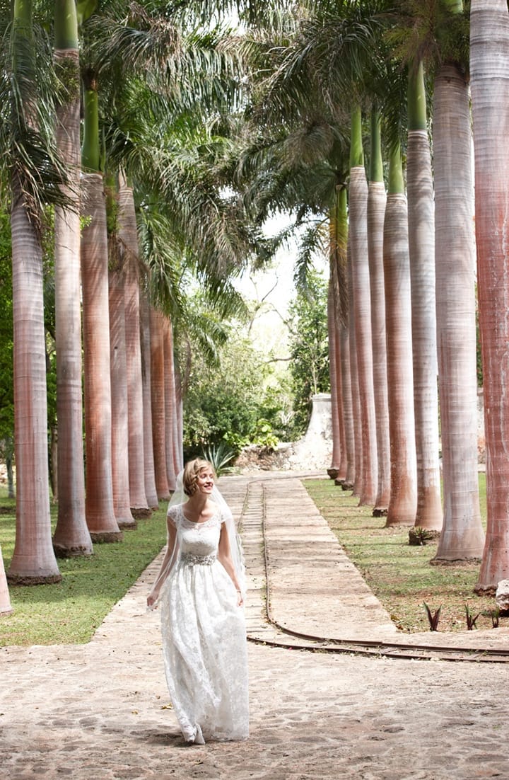 BHLDN 2014ļλûɴϵ