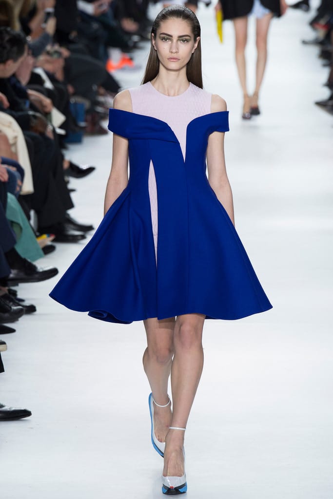 Christian Dior 2014ﶬз