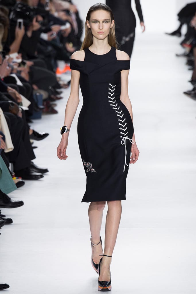 Christian Dior 2014ﶬз