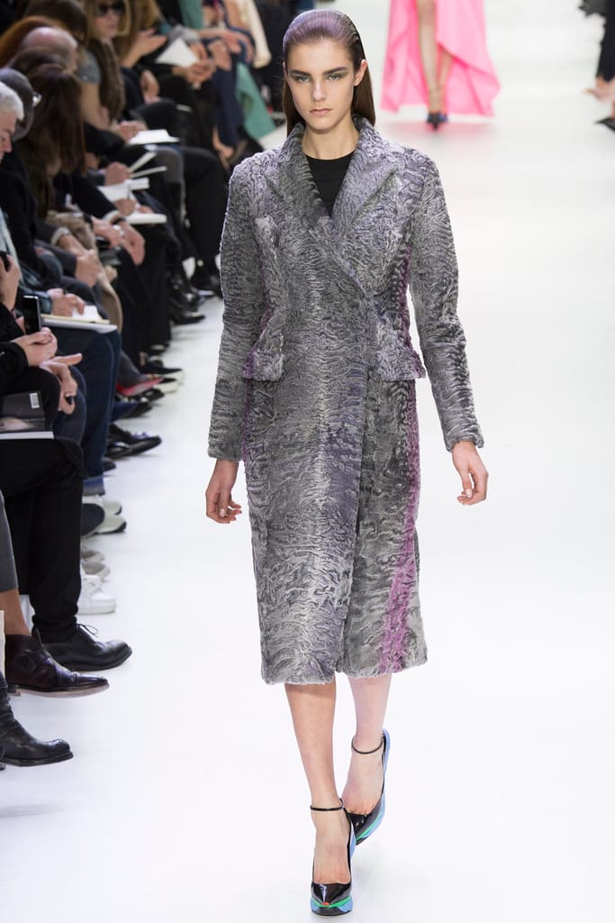 Christian Dior 2014ﶬз