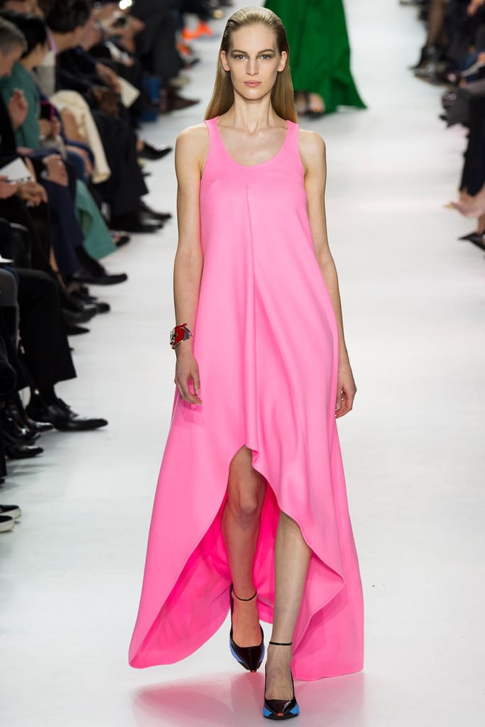 Christian Dior 2014ﶬз