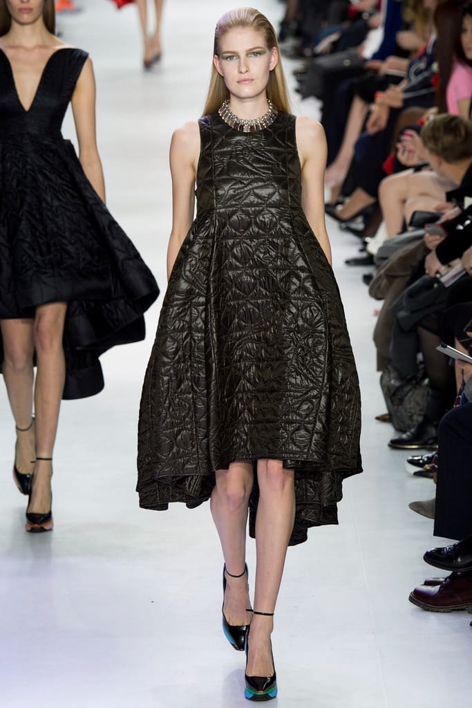 Christian Dior 2014ﶬз