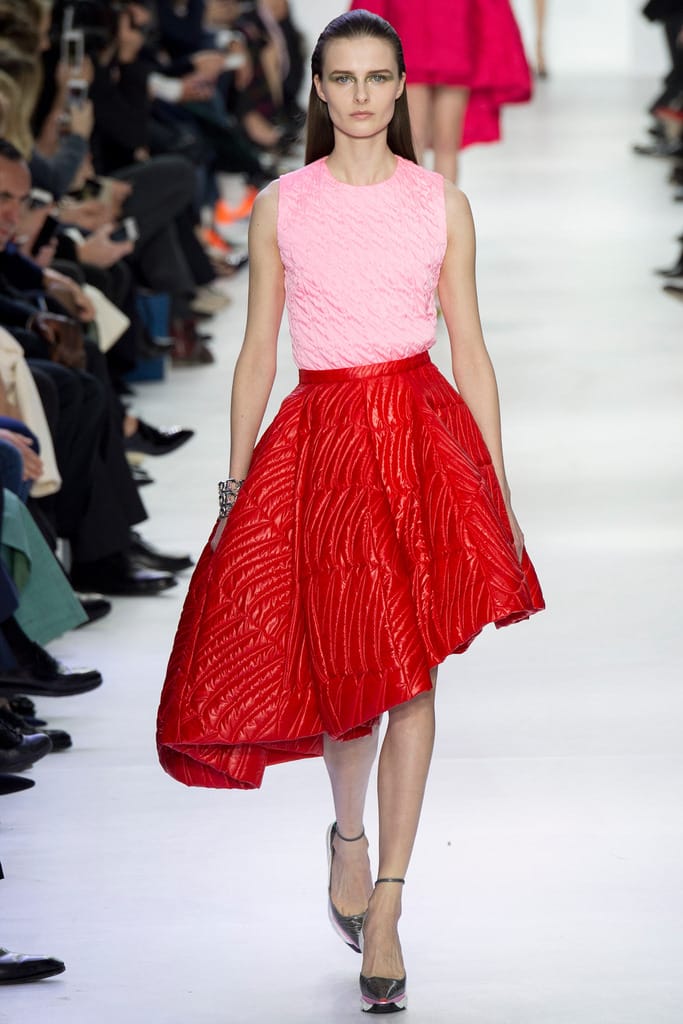 Christian Dior 2014ﶬз