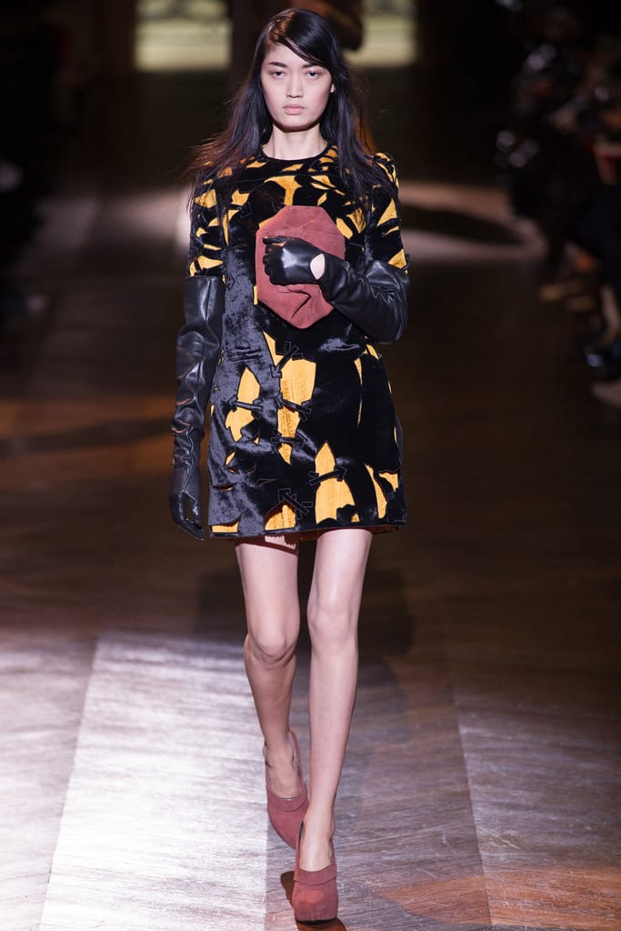 Carven 2014ﶬз