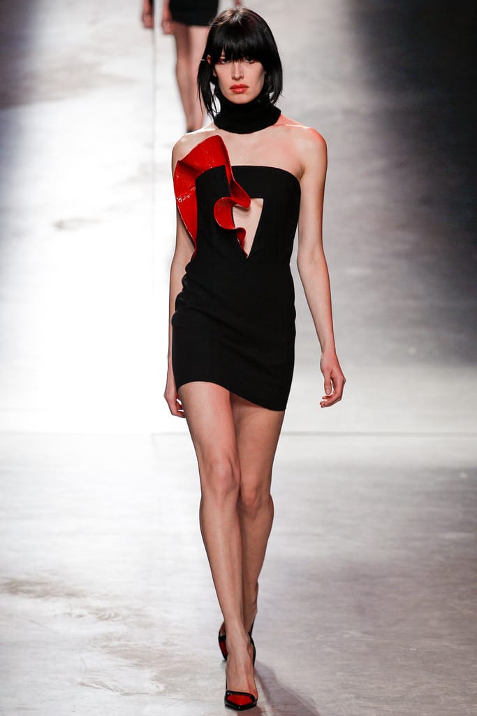 Anthony Vaccarello 2014ﶬз