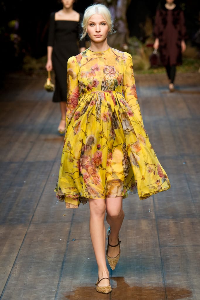 Dolce & Gabbana 2014ﶬϵз