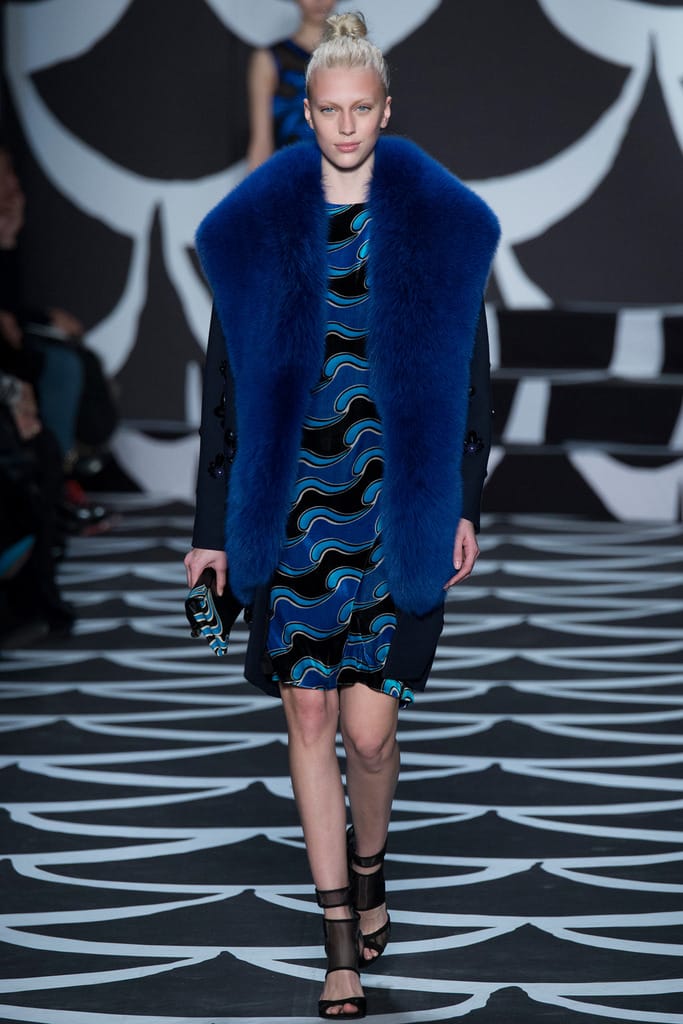 Diane von Furstenberg 2014ﶬз