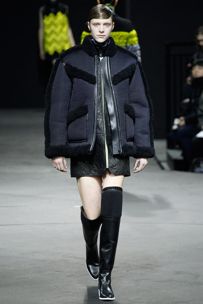 Alexander Wang 2014ﶬз