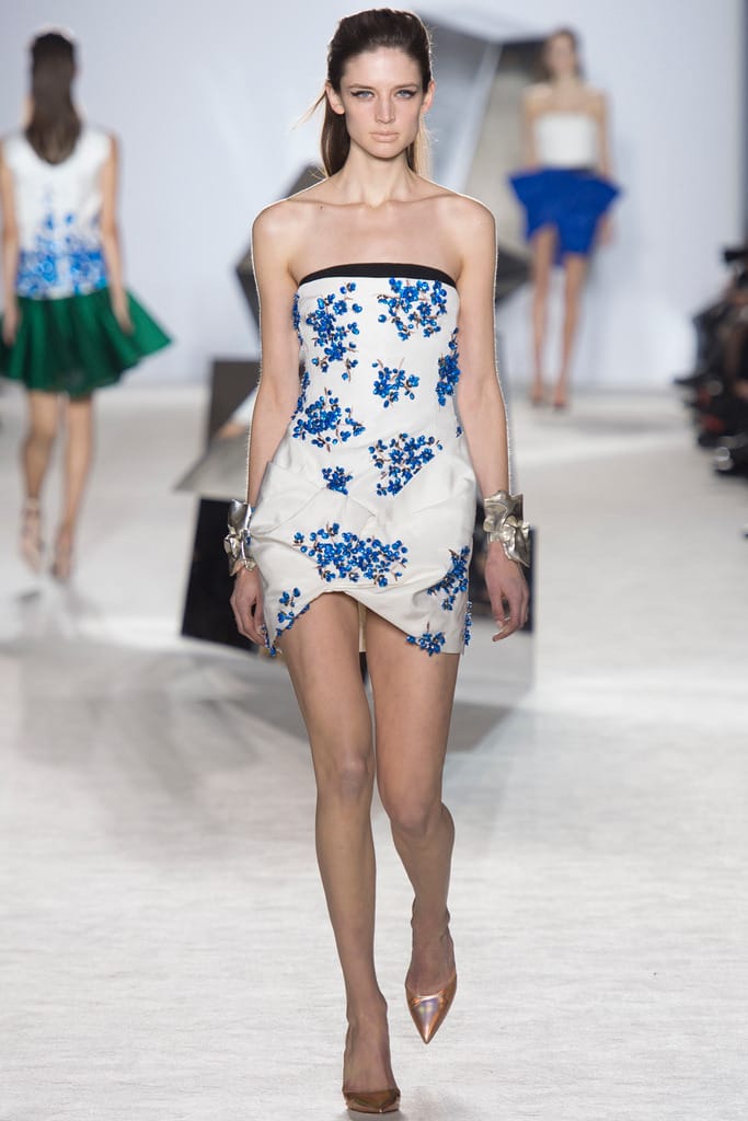 Giambattista Valli 2014ĸ߼з