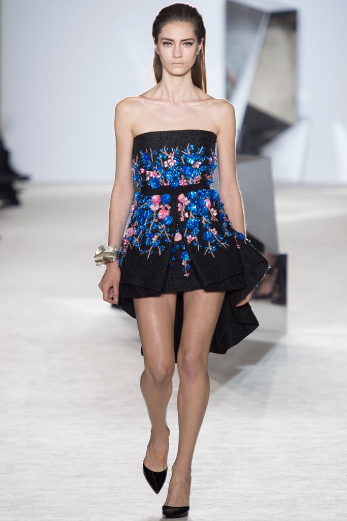 Giambattista Valli 2014ĸ߼з