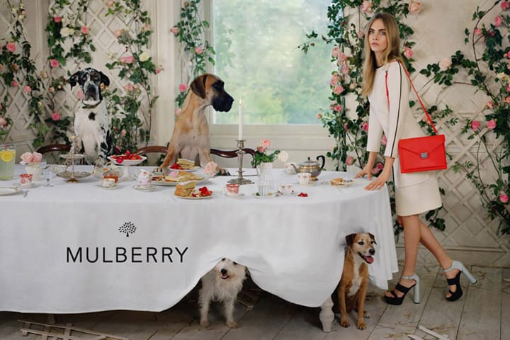 Mulberry 2014ϵйƬ