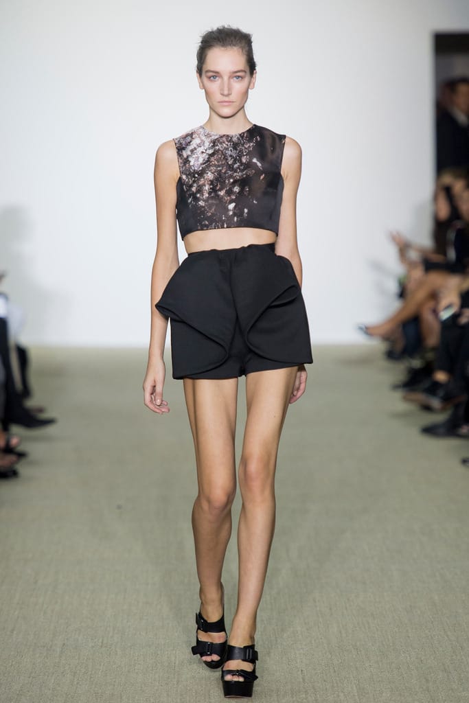 Giambattista Valli 2014з