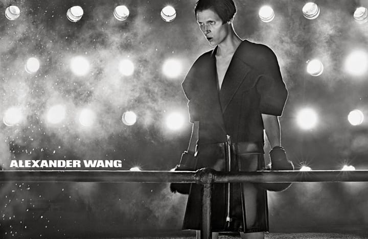 Alexander Wang 2013ﶬϵйƬ