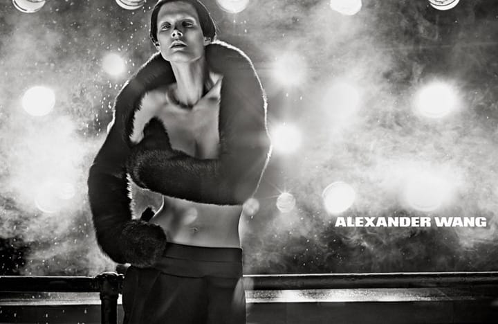 Alexander Wang 2013ﶬϵйƬ