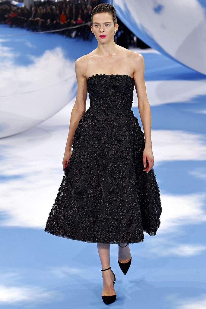 Christian Dior 2013ﶬз