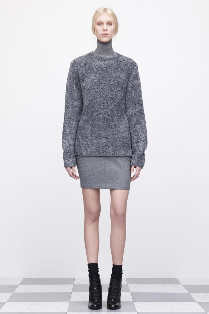 T by Alexander Wang 2013ﶬз