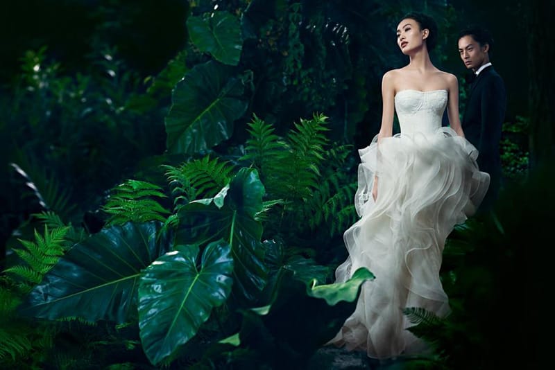 Vera Wang 2013ĹƬ