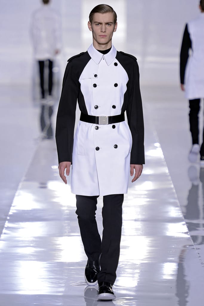 Dior Homme 2013ﶬװз