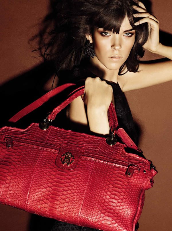 Roberto Cavalli 2012ʱ¼