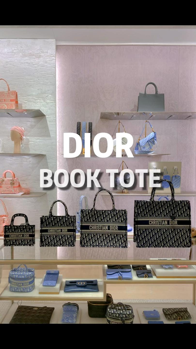 ̽DIOR TOTE³ĳߴҲ̫˰