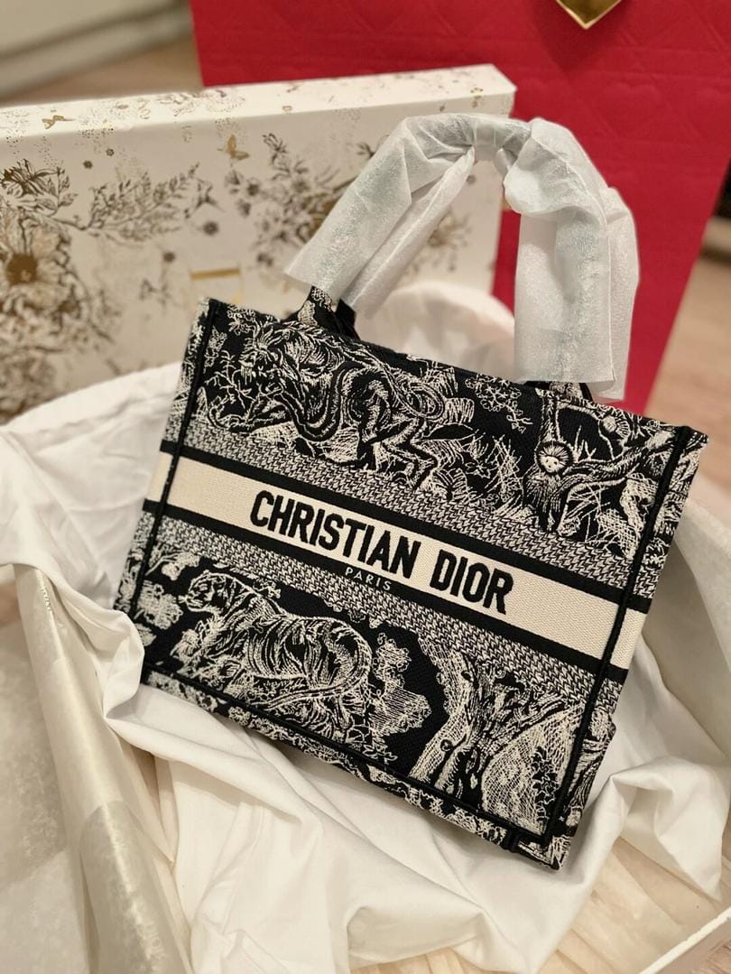 Dior Tote³ߴС