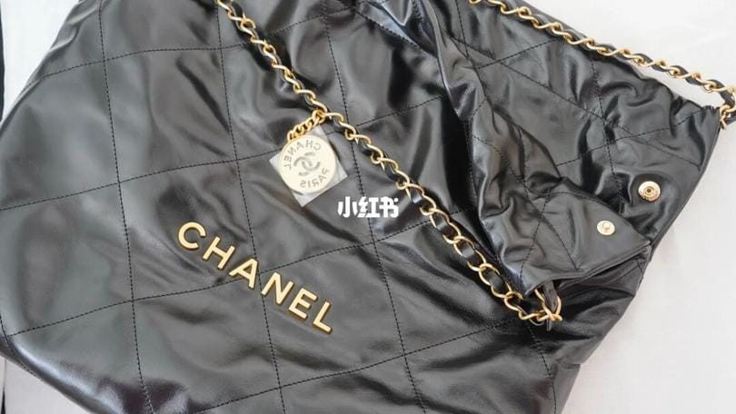 Chanel 22 bag