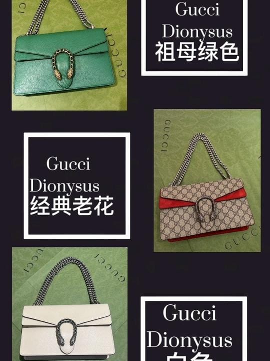 հƼ_Gucci  Dionysus