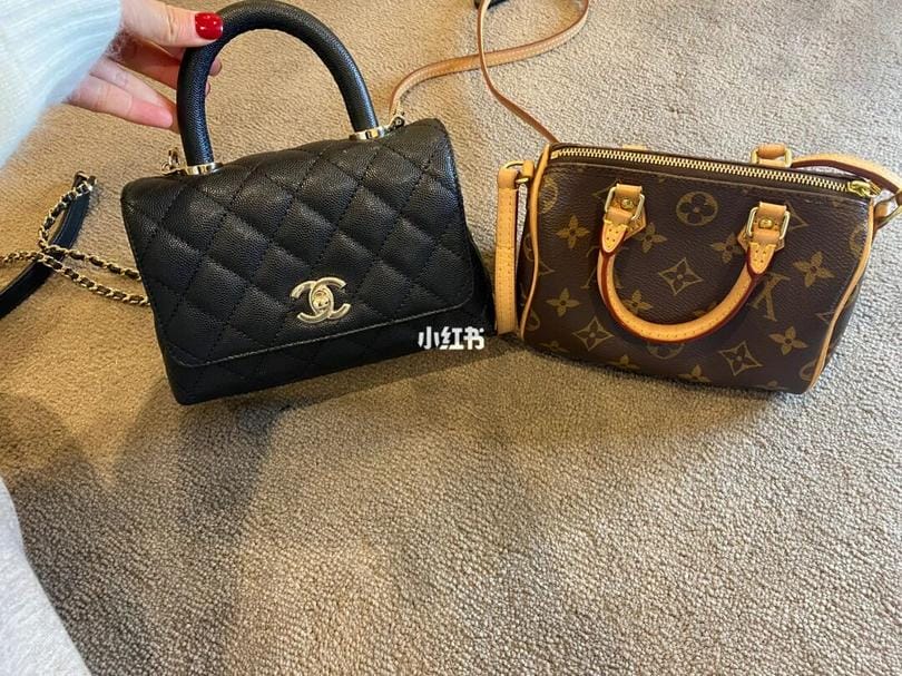 lv speedy nano & Chanel mini  coco handle