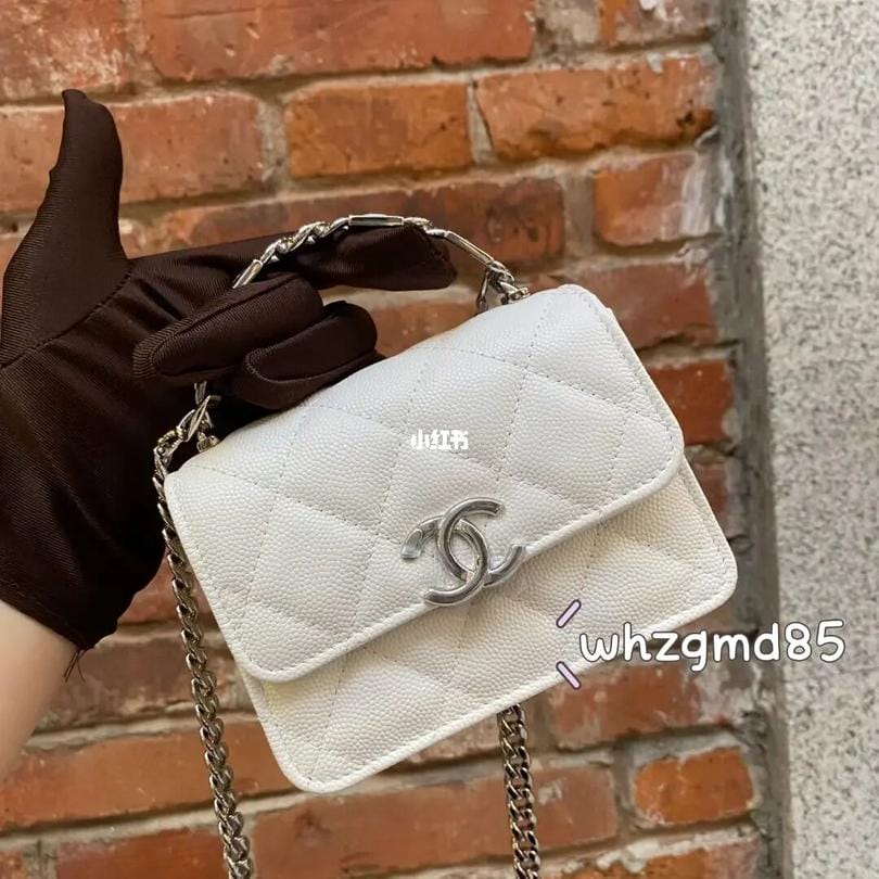 Chanel 22s¿  Сϰ