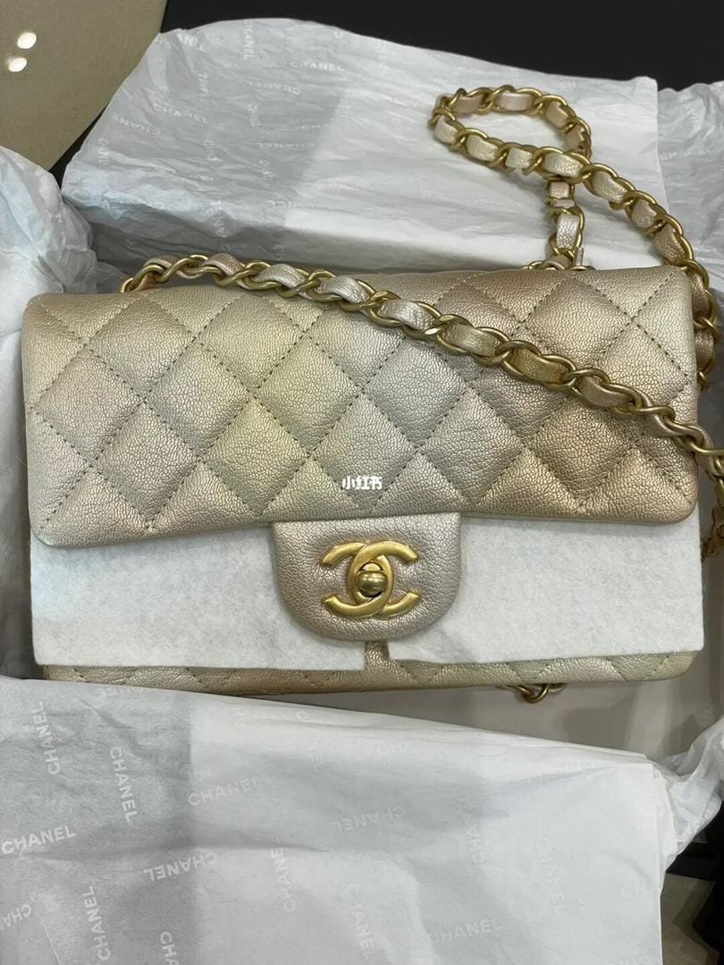 Chanel Mini Flap 22C A69900