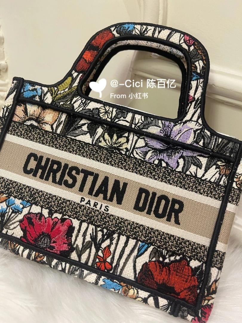 Dior booktote 2021޶mini