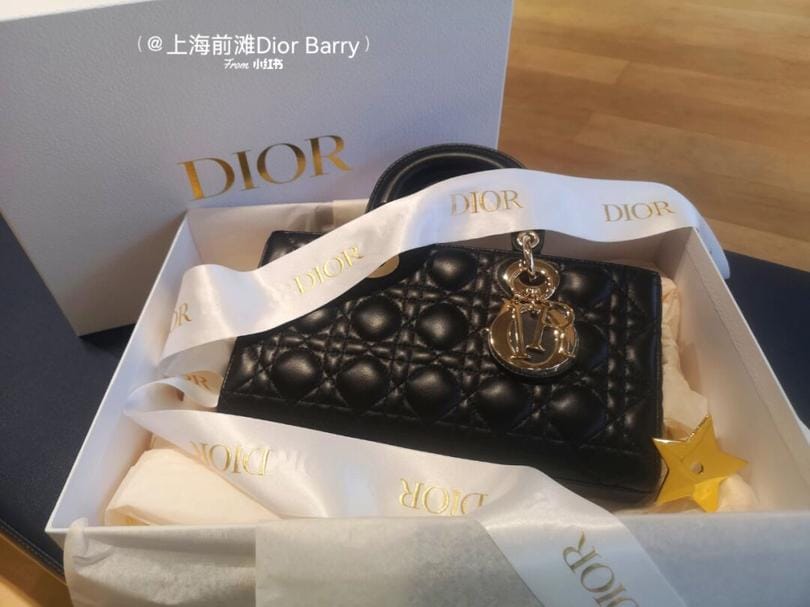 Dior 2022紺Ʒ Lady D-Joy