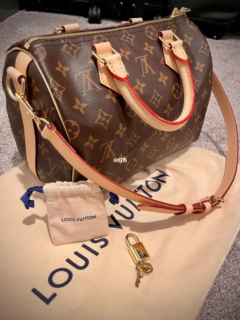 LV Speedy25֥Ӹ