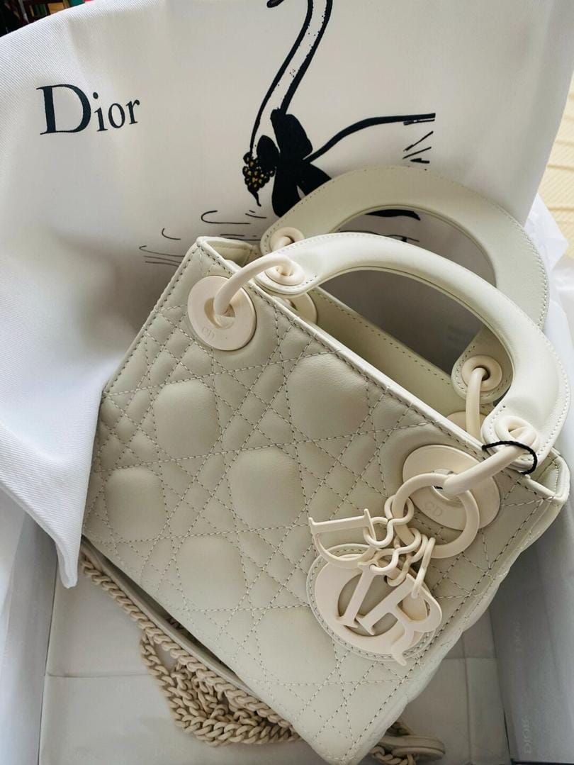 Ǽǰ2022  Lady dior