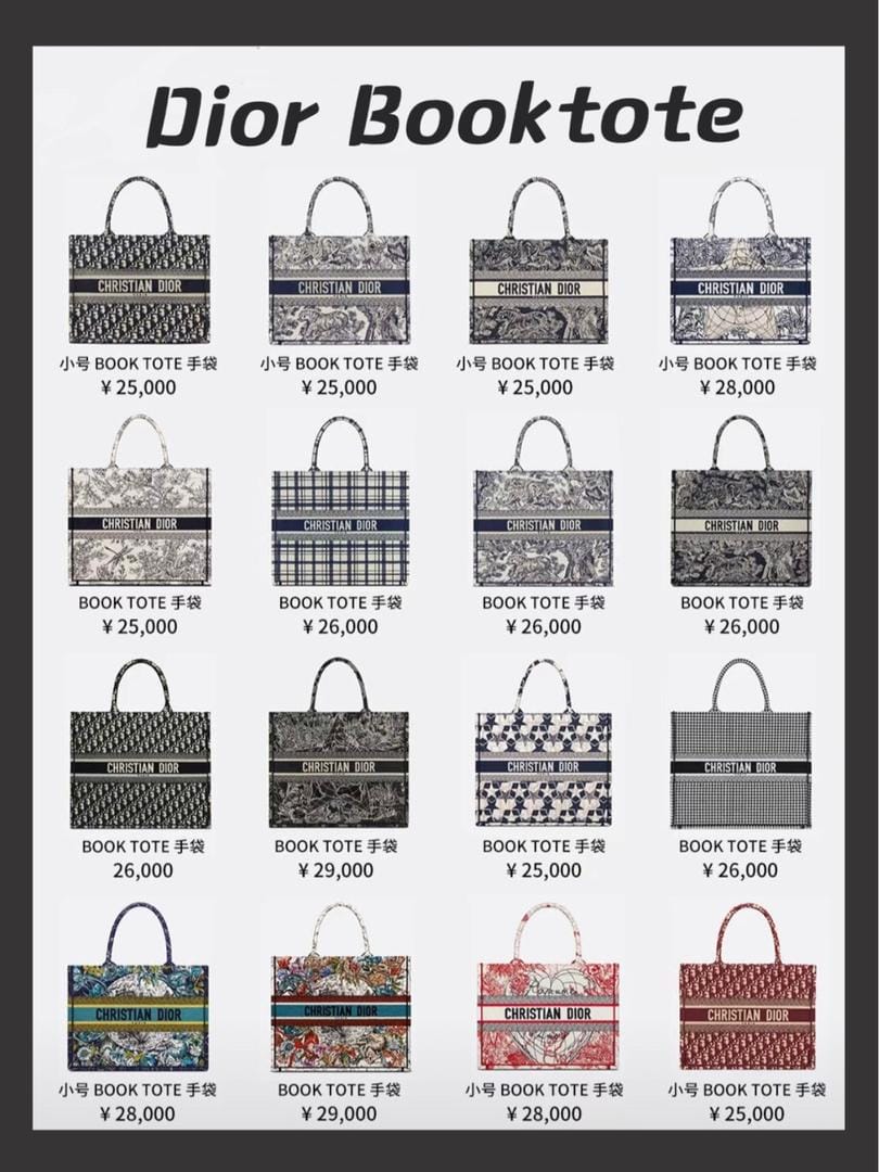 Dior book tote ϼ ˭˭ÿ