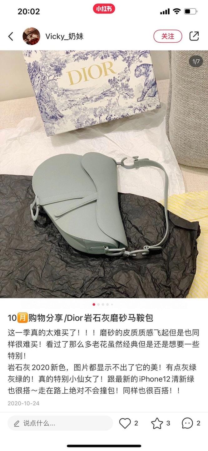 dior Saddleĥɰ