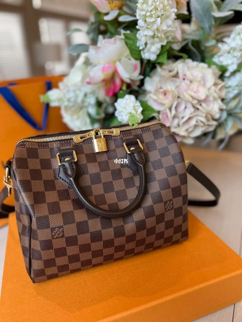 20·LV Speedy25̫ˣ