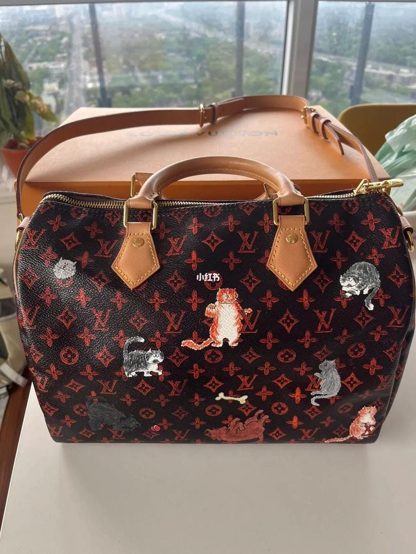 lv speedy-׶ع