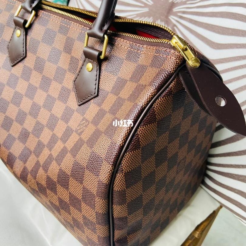 lv speedy͵