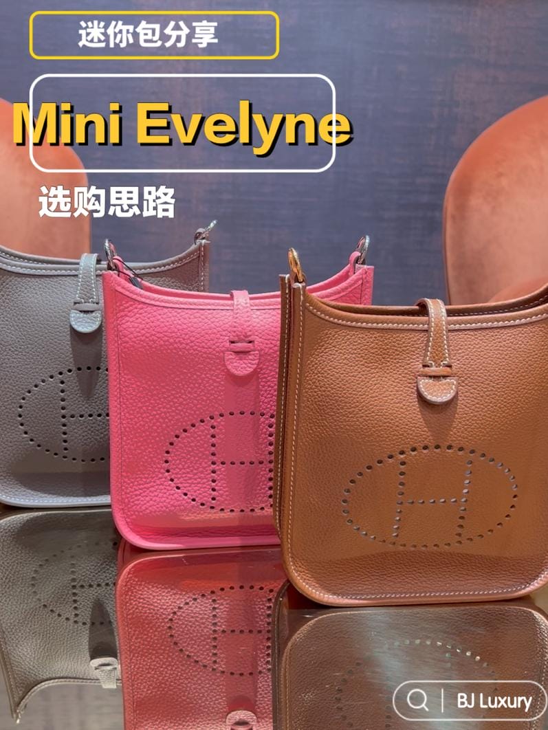 Hermes mini Evelyne ѡ˼·