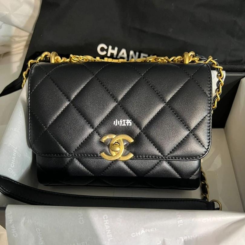 Chanel 22S mini Flap Bag ¿