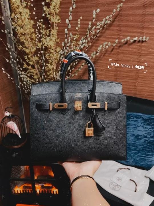  Hermes Birkin 25  ڽ