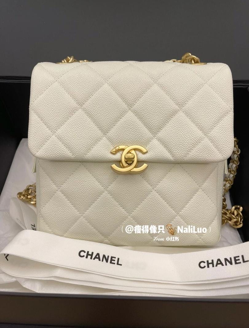 chanel 22p˫