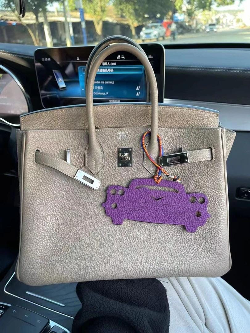 Hermes birkin25